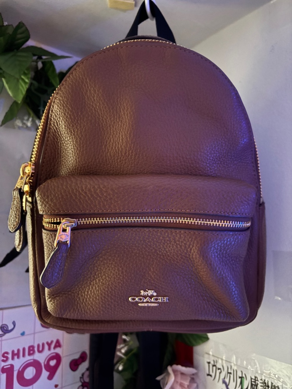 Coach Pebbled Leather Mini Backpack in Dark Brown with Gold Hardware